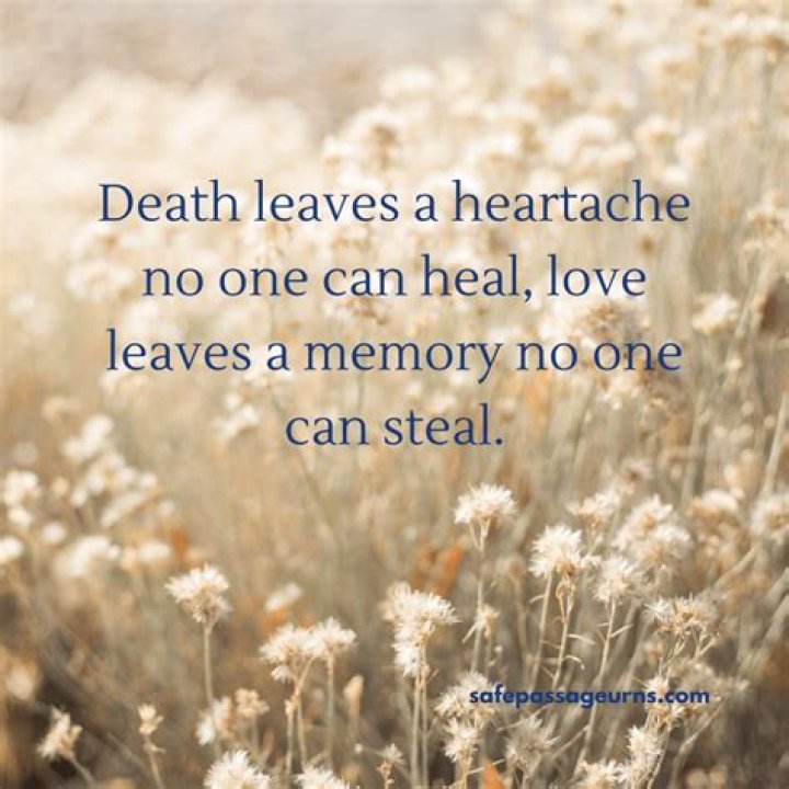 Yehoshua Anikster Obituary, A Precious Soul Gone Too Soon – Death