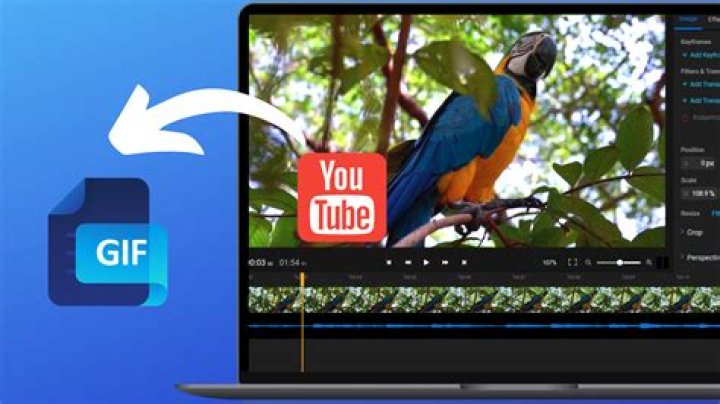 YouTube Video to GIF Converter