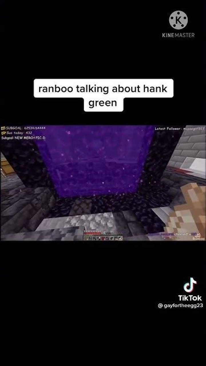 YouTuber Hank Green responds as Ranboo fans compare him to Minecraft star