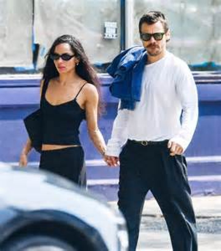Zoe Kravitz Boyfriend: A Complete Guide To Her Relationships